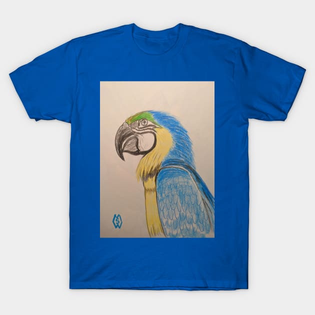 Macaw parrot study T-Shirt by Matt Starr Fine Art